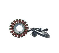 Motorcycle Ignition Coil Stator Generator Fit For TRK251 BN251 TNT25 TNT250 L 250 BN TRK TNT 25 250 251