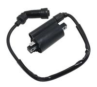 Motorcycle Ignition, Dual Wire Ignition Coil Boat Ignition Coil Assy Fit use for XV125 XV125S XV240 XV250 SRV250 SRV250S TRX850 XVS125 4DN-82320-00 4DN-82320-01 2UJ-82320-00-