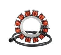 Motorcycle Ignition Generator Stator Coil For Blast500 S1 S2 S2T S3 S3T M2 X1 LOW Cyclone White Thunderbolt