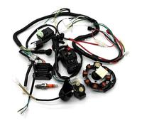 Motorcycle Ignition Lock 9Pieces Wiring Harness Wire Loom Electrics Stator Coil CDI For ATV Quad 4 Four Wheelers 150-250CC CG Go Kart Dirt Pit Bikes