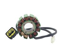 Motorcycle Ignition Magneto Stator Coil Compatible With TM Racing KOK YS 9018 C KOKU SUM F15547 EN250 2010-2018 EN300 2017 2018 2019 EN450