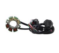 Motorcycle Ignition Stator Coil K2100-30027 K2100-30048 Compatible With RMZ250 RMZ 250 2005-2006