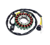 Motorcycle ignition stator coil Motorcycle Generator Stator Coil For Buyang 300 FA-H300 FA-D300 ATV 300B Feishen 300cc Big Power 2.1.01.2060 2.1.01.2010