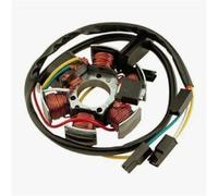 Motorcycle Ignition Stator For Aprilia RS50 MX50 RX50 1999 2000 2001 2002 2003 2004 2005 Stator Ignition Module For Motorbike