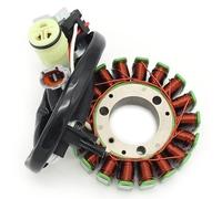 Motorcycle Ignition Stator For YFM125G For YFM125GH For Grizzly 125 For Hunter 2004-2013 Engine Generator Ignition Stator Coil 1C5-81410-00 1C5-81410-01