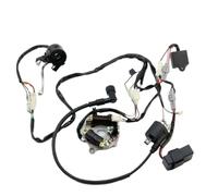 Motorcycle Ignition Switch Motorcycle Dirt Bike PW50 WIRING HARNESS Loom Ignition Switch CDI Magneto Stator ASSEMBLY For PW50 For Y-Zinger Ignition Key Switch