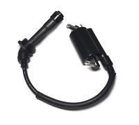 Motorcycle Ignition Switch Motorcycle Ignition Coil For Benelli BJ250-15 BJ250-15A For BN251 BN250 TNT25 TNT250 Coil Assy With Wire & Plug Ignition Key Switch