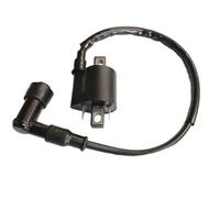 Motorcycle Ignition System For CBF125 For CBR125 CR125 CR250 CRF450 CR500 TRX650 TRX700 Motorcycle High Performance Parts Ignition Coil Ignite Unit