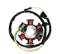 Motorcycle Ignitor Stator Coil Compatible With XP6 XP6S XR6 50 Motorhispania Furia RYZ MBK X Limit Power 50