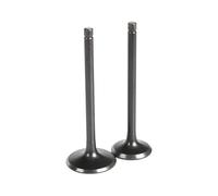Motorcycle Intake And Valve Stem Kit For XT225 85-07 TTR225 TT225 TW225 TW225E(1x intake 1x exhaust)