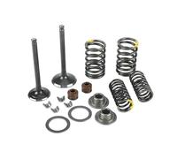 Motorcycle Intake Exhaust Valve Comp Springs Cotter Seal Assy For Lifan LF125 140 150cc Horizontal Engine Dirt Pit Bike ATVDescription
