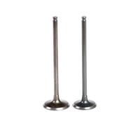 Motorcycle Intake Exhaust Valve Stem for YMH XT225 S-Row 1985-2007 TT225 1986-1987 TTR225 2001-2005 TW225E 2002-2007 XT 225(1x Intake 1x Exhaust)