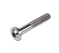 Motorcycle M8x25 M8x30 M8x40 M8x50 Torx Head Screw Fasteners Bolt Ti Alloy Fork Clamp Bolts Disc Brake Rotor Fixing Screws Accessories Brake Disc