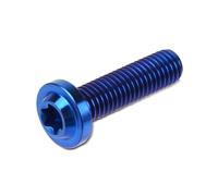 Motorcycle M8x25 M8x30 M8x40 M8x50 Torx Head Screw Fasteners Bolt Ti Alloy Fork Clamp Bolts Disc Brake Rotor Fixing Screws
