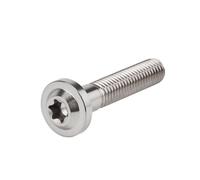 Motorcycle M8x25 M8x30 M8x40 M8x50 Torx Head Screw Fasteners Bolt Ti Alloy Fork Clamp Bolts Disc Brake Rotor Fixing Screws Accessories Brake Disc