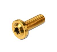 Motorcycle M8x25 M8x30 M8x40 M8x50 Torx Head Screw Fasteners Bolt Ti Alloy Fork Clamp Bolts Disc Brake Rotor Fixing Screws Accessories Brake Disc