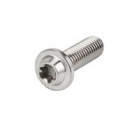 Motorcycle M8x25 M8x30 M8x40 M8x50 Torx Head Screw Fasteners Bolt Ti Alloy Fork Clamp Bolts Disc Brake Rotor Fixing Screws