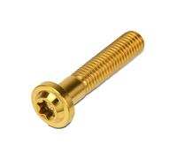 Motorcycle M8x25 M8x30 M8x40 M8x50 Torx Head Screw Fasteners Bolt Ti Alloy Fork Clamp Bolts Disc Brake Rotor Fixing Screws Accessories Brake Disc