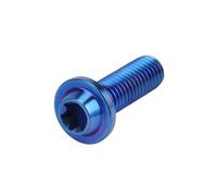 Motorcycle M8x25 M8x30 M8x40 M8x50 Torx Head Screw Fasteners Bolt Ti Alloy Fork Clamp Bolts Disc Brake Rotor Fixing Screws Accessories Brake Disc