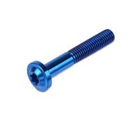 Motorcycle M8x25 M8x30 M8x40 M8x50 Torx Head Screw Fasteners Bolt Ti Alloy Fork Clamp Bolts Disc Brake Rotor Fixing Screws Accessories Brake Disc