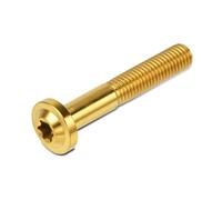 Motorcycle M8x25 M8x30 M8x40 M8x50 Torx Head Screw Fasteners Bolt Ti Alloy Fork Clamp Bolts Disc Brake Rotor Fixing Screws