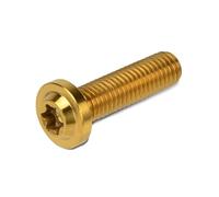 Motorcycle M8x25 M8x30 M8x40 M8x50 Torx Head Screw Fasteners Bolt Ti Alloy Fork Clamp Bolts Disc Brake Rotor Fixing Screws