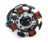 Motorcycle Magnet Coil Generator Stator Motorcycle Accessories Magneto Engine Stator Ignition Coil For TTR230 TT-R230 2005-2017 1C6-H1410-00 Snow Moped Generator