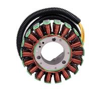 Motorcycle Magneto And Electric Starter Generator Stator Coil Fit For S 2009 OEM 420684853 420684852