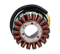 Motorcycle Magneto And Electric Starter Generator Stator Coil For 420684853 420684852