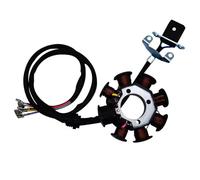 Motorcycle Magneto Coil Compatible With CG125 150Cc 250Cc 8 Pole AC Motorcycle Power Generator Stator Coil Magneto Engine Spare Accessories Replacement