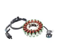 Motorcycle Magneto Generator Stator Coil Assembly Fit For S GZ125 GZ150 M 125 150