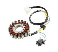Motorcycle magneto ignition stator Motorbike Stator Coil Generator Magneto Coil 18 Coil Magneto Stator Generator For Pulse Adrenaline XF125GY-2B 125cc K157FMI