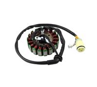Motorcycle magneto ignition stator Motorcycle Lgnition Magneto Coil Stator Generator Stator Coil For LONCIN 300 RR R DS AC GY 300 RALLY 300GY 300DS 300AC 300R