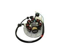 Motorcycle magneto ignition stator Motorcycle Stator Coil Generator Magneto Stator Coil Z190 Stator Zongshen 2v 190cc Kick Start For Pit Dirt Bike