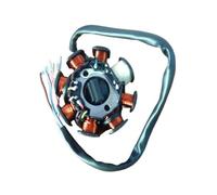 Motorcycle magneto ignition stator Motorcycle Stator Coil Parts For Zongshen Engine 250 Race 8 Pole AC Motor Magnetic Whiteboard