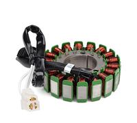 Motorcycle Magneto Stator Coil Compatible With Yamaha FZ6 FZ6N FZ6S FZ6NS Naked FZ6 S2 NHG SA Fz6 SAHG SHG SW FZ6NA FAZER S2 Naked ABS 12V