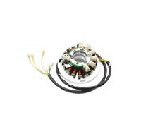 Motorcycle Magneto Stator Coil Fit For TE350 TE510 TE610 TC500 TX510 TC610 WXC350 WXE350 WMX610 WXE510 WXE610 WXC610