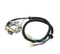 Motorcycle Magneto Stator Coil For AR 210 Exciter 135 270 LS 2000 Engine Ignition Coil