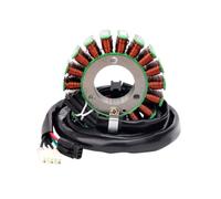 Motorcycle Magneto Stator Ignition Coil Compatible With EC 250F 350F 450F 500F FE 450 501 Freeride 250 350 500