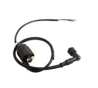 Motorcycle Modified Parts CDI Ignition Starter Coil 6V 2 Wires Suitable For 50cc-125cc Off-Road Vehicles And Light Motorcycles Kill Switch Coil