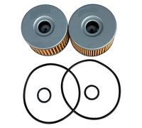 motorcycle oil filter Fit For Honda ATV TRX420FA 2009-2023 TRX500FA 2015-2019 TRX520FA 2020-2023 Fourtrax 15412-HP7-A01 Oil Filter(2pcs)