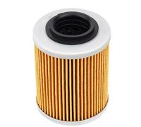 Motorcycle oil filter Oil Filter For CAN-AM DEFENDER MAX HD10 DPS 976 1000R OUTLANDER 650 Engine Bike Motorcycle repair(2 pcs)