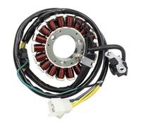 Motorcycle Parts Generator Stator Coil For CBF250 For CBX250