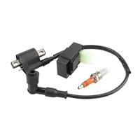 Motorcycle parts Ignition Coil Replacement For 50cc 70cc 110cc 125cc 150cc 200cc 250cc ATV Scooter Quad Dirt Bike Motorcycle Ignition Coil + 6 Pin AC CDI Box + Spark Plug