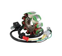 Motorcycle Parts Magneto Engine Stator Ignition Coil For SYM For JOYRIDE For EU2 125 E2 EVO L6 For EU2 200 OEM:31120-H9A-000 31120-H9A-001 Stator Plate Coil