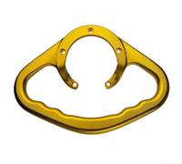 Motorcycle Passenger Grab Handle