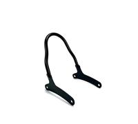 Motorcycle protective backrest Motorcycle Detachables Rear Driver Passenger Backrest Sissy Bar For Rebel CMX500 CMX300 Applicable Assembly Accessories