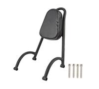 Motorcycle protective backrest Motorcycle Rear Passenger Backrest Sissy Bar Accessories For Rebel CMX500 CMX300 2017 2018 2019 2020 2021 2022 2023
