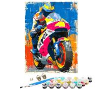 Motorcycle Racing Paint by Numbers for Adults With Frame, Paint by Numbers, Easy Diy Oil Painting Kits on Canvas with Brushes, Hobbies for Women, Painting for Home Wall Decor Gifts 16x22 in BJHDK162