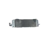 motorcycle radiator cap For S&UZUKI For RM85 RM85L 2002-2021 All Aluminum Radiator STRIVING BIRD